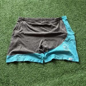 Vintage 90s Charlotte Hornets Shorts Salem Sportswear NBA USA Made Large Teal